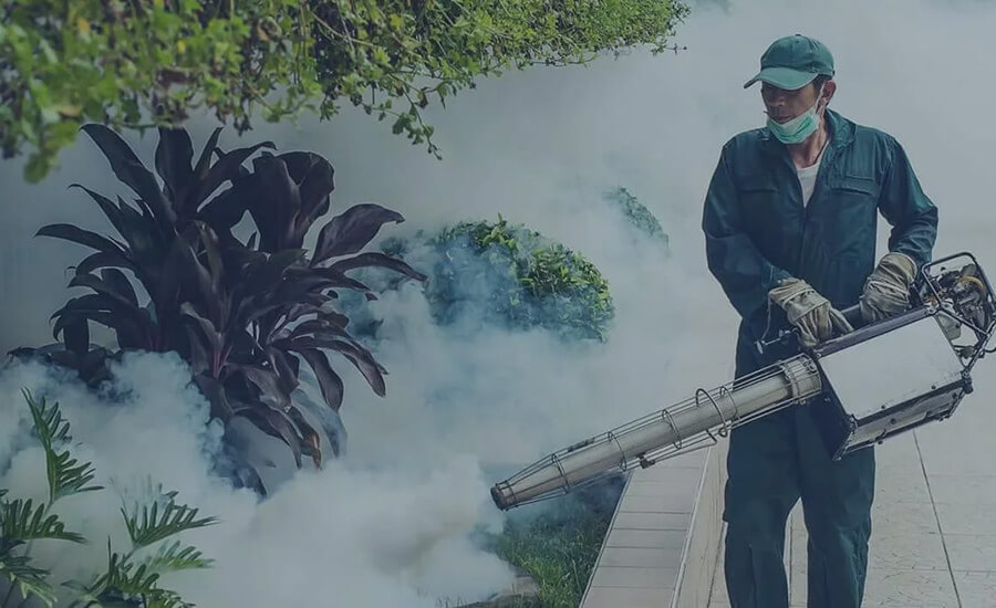 Fumigation Services in Abu Dhabi and Dubai